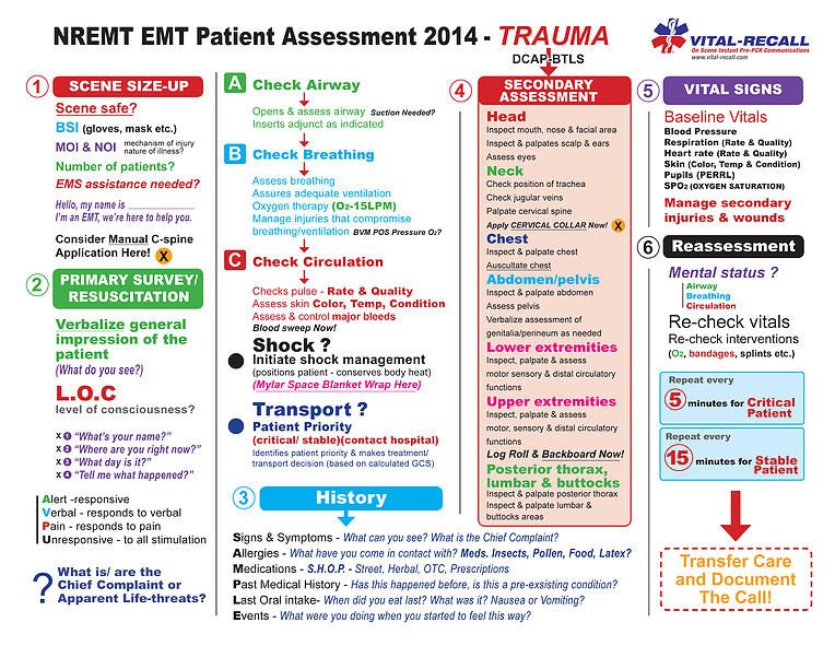 Medical Overview/ Patient assessment Activities JSUMC August 2023